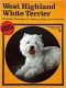 Peper: West Highland white Terrier